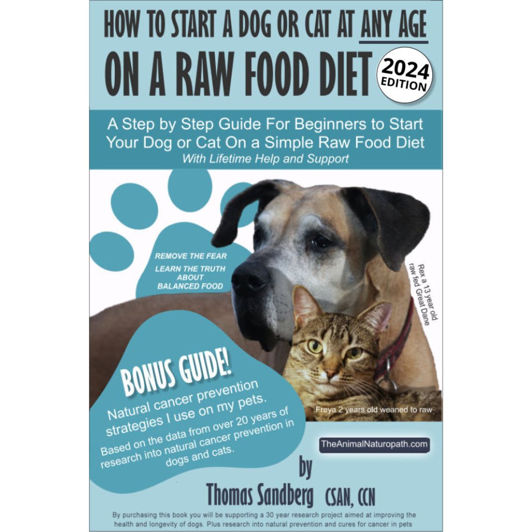 How to start a dog or cat at any age on a raw food diet (New Edition 2024)