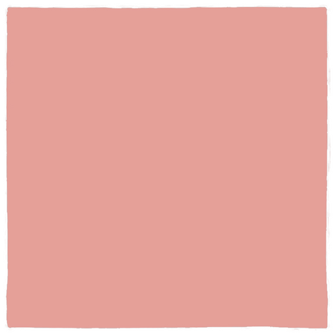 Image of Rose Tan Colored Bandana. Popular fashion Color for 2020