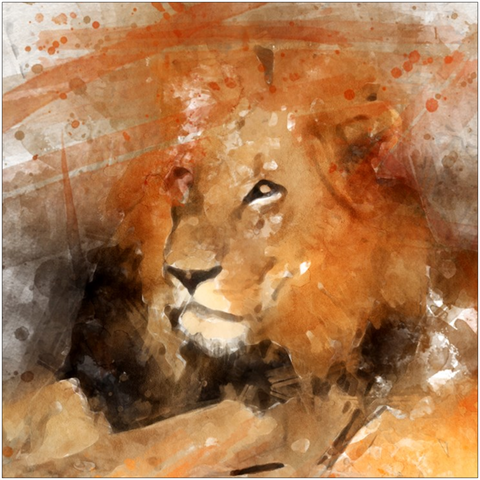 Image of Majestic Lion Print Digital Water Color technique by Thomas Sandberg