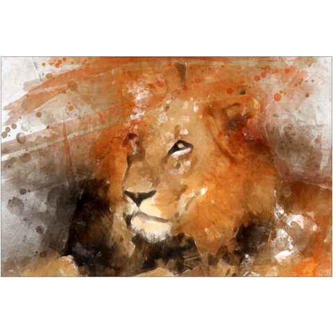 Image of Majestic Lion Print Digital Water Color technique by Thomas Sandberg