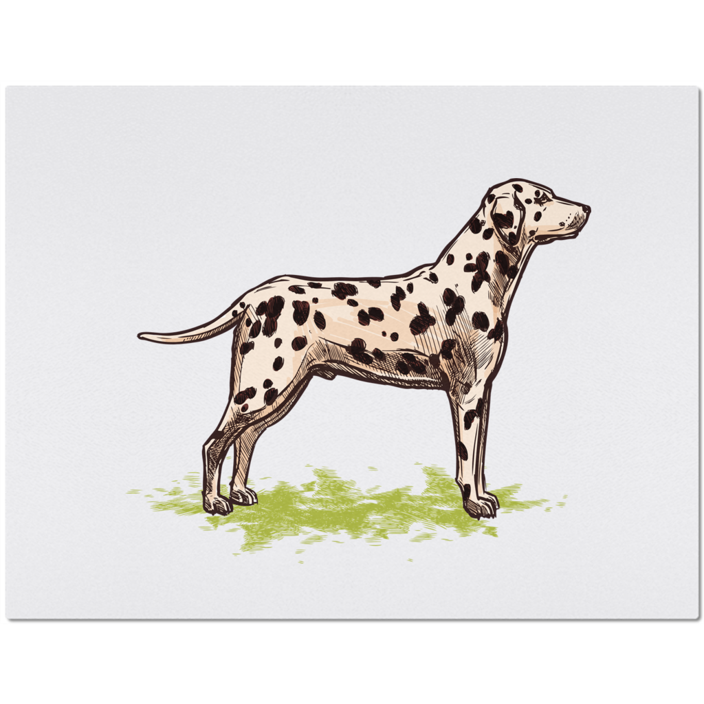Placemat with Hand drawn Dalmatian Design
