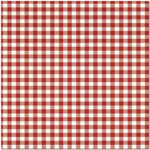 Classic Red Checkered Placemat