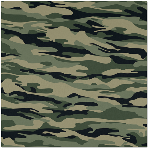 Image of Camouflage Design Placemat