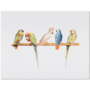 Placemat with Colorful Parrot Design