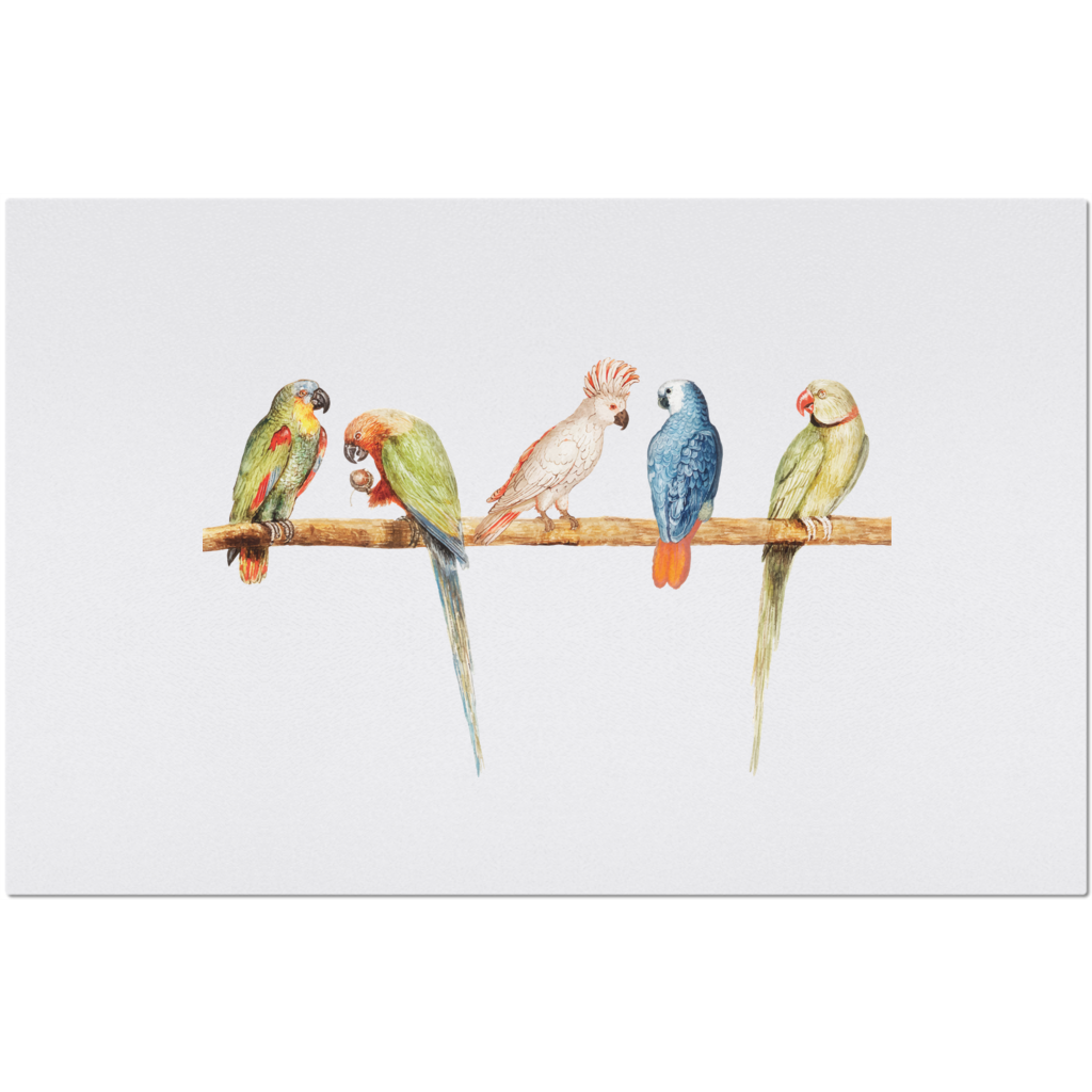 Placemat with Colorful Parrot Design
