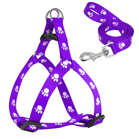 Harness with Paw Prints for Small to Medium Dogs