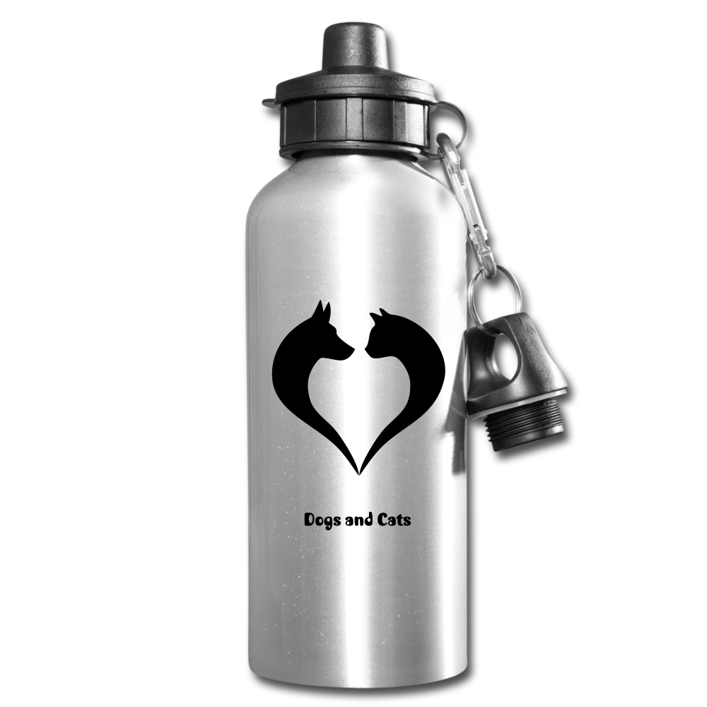 Water Bottle - silver