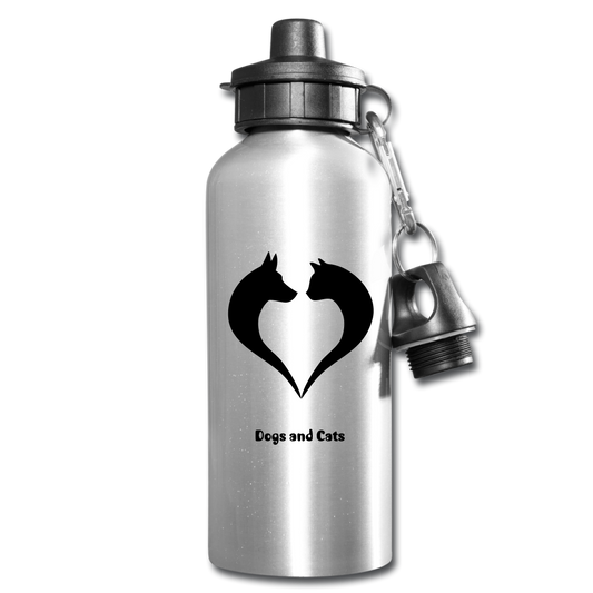 Water Bottle - silver