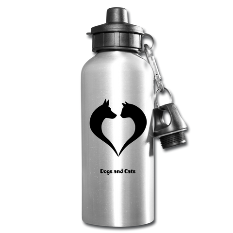 Image of Water Bottle - silver
