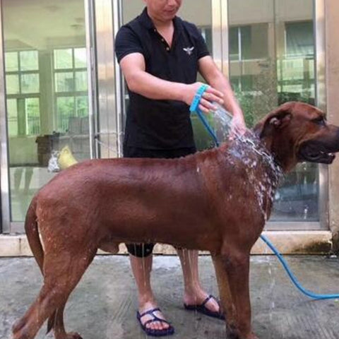 Image of Pets Dogs Cats Massage Shower
