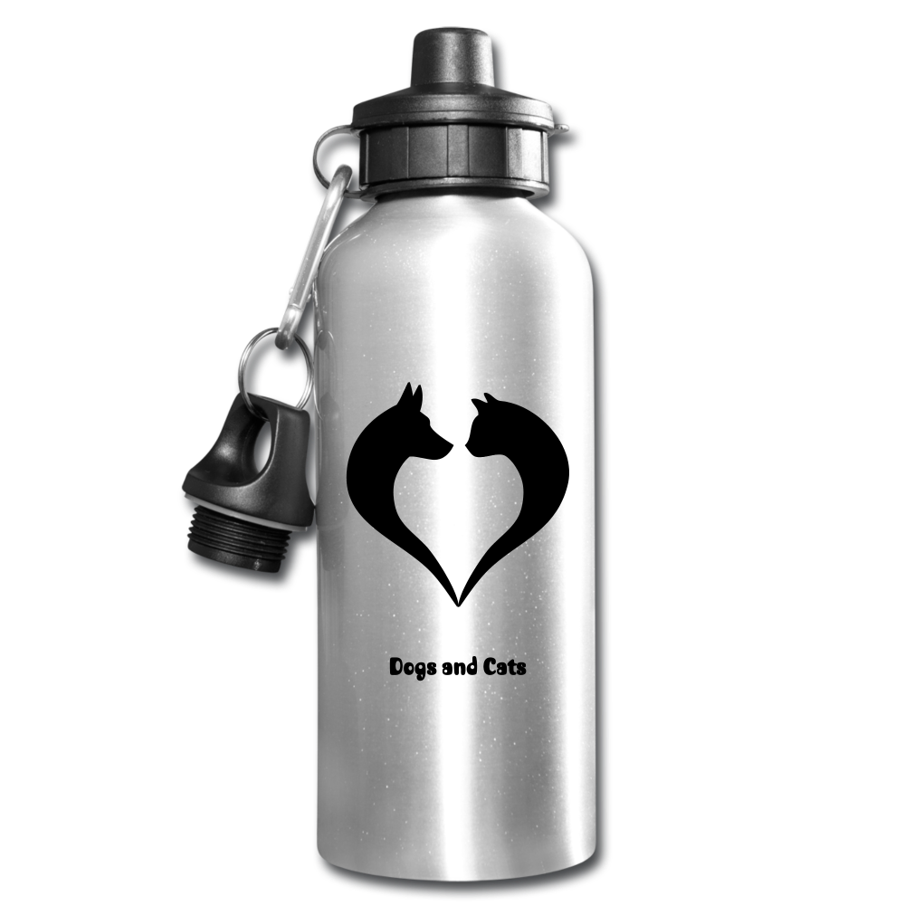 Water Bottle - silver