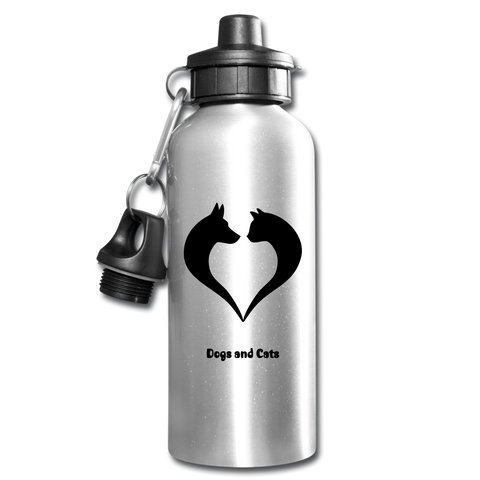 Image of Water Bottle - silver