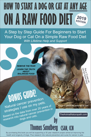 How to start a dog or cat at any age on a raw food diet