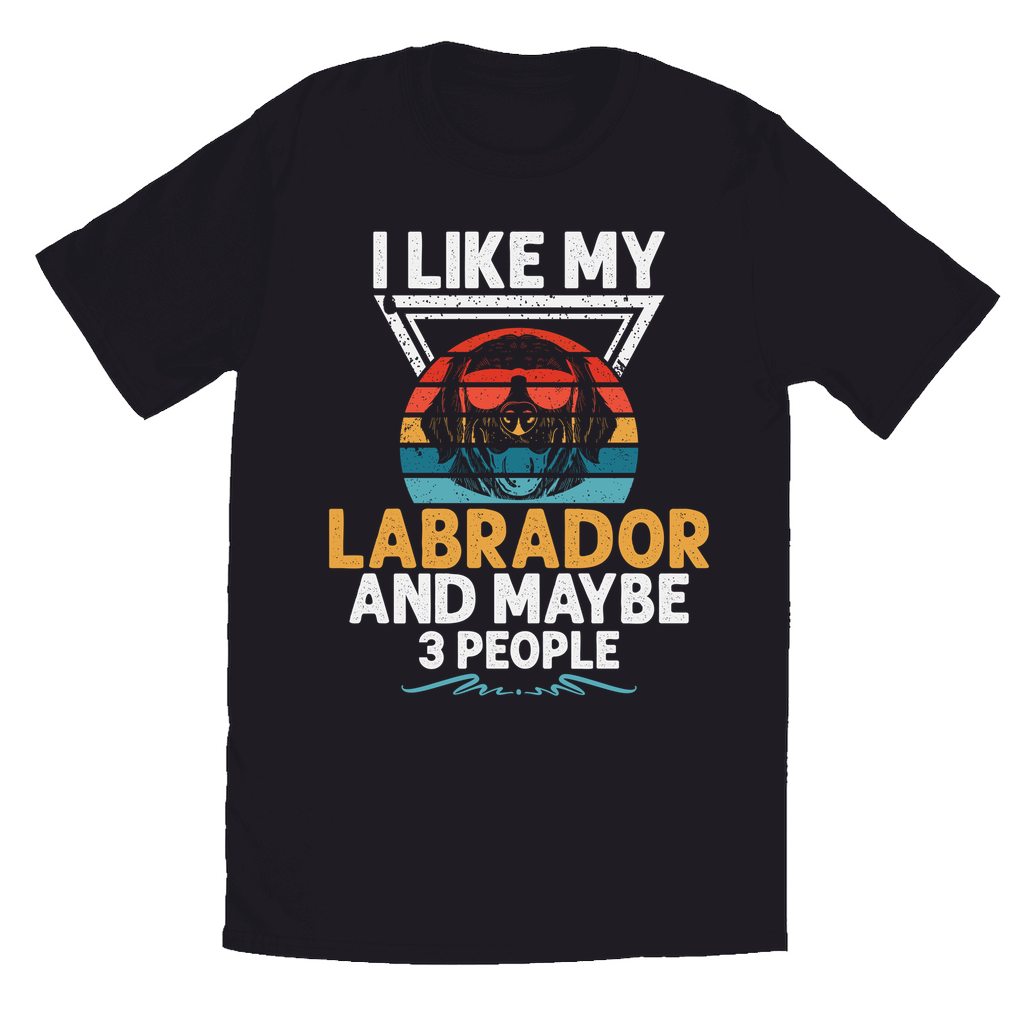 Black T-Shirt | "I Like My Labrador and 3 People"