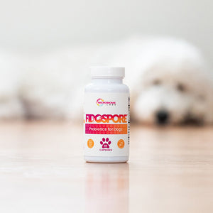 FidoSpore™ Spore Based Probiotic for Dogs and Cats - Made in USA