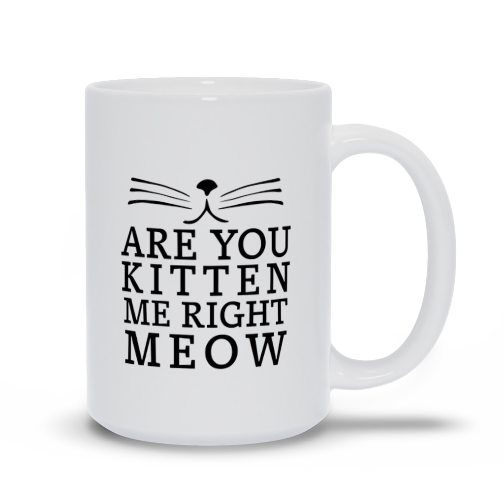 Are You Kitten Me Mugs, Cat Lover Mug, Funny Cat Lover Mug