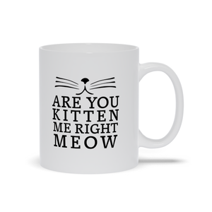 Are You Kitten Me Mugs, Cat Lover Mug, Funny Cat Lover Mug