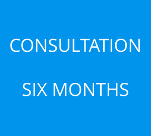 6-Month Consultation