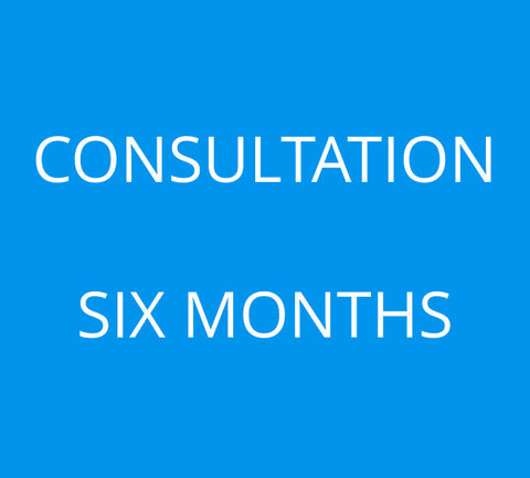 6-Month Consultation