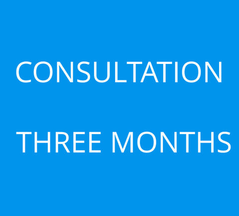3-Month Consultation