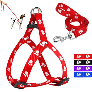 Harness with Paw Prints for Small to Medium Dogs